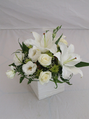 Neutral Arrangement